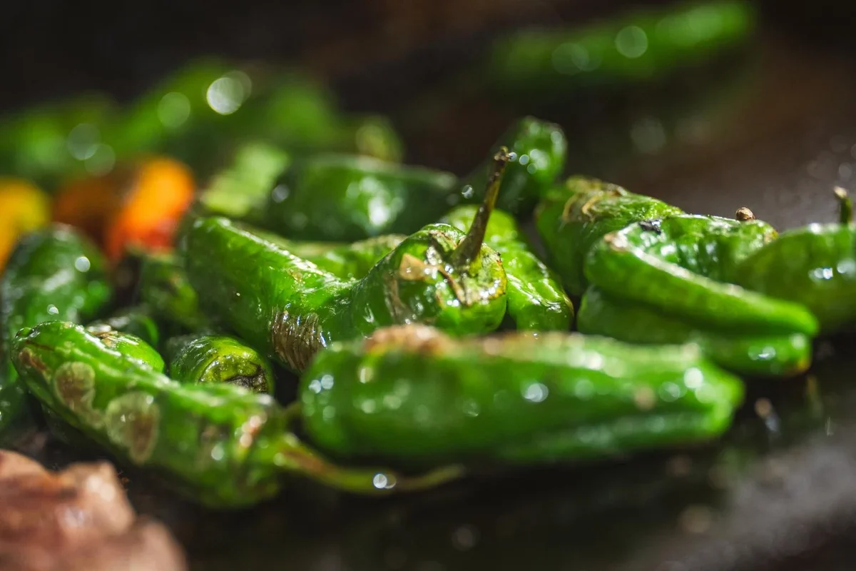Padrón paprika